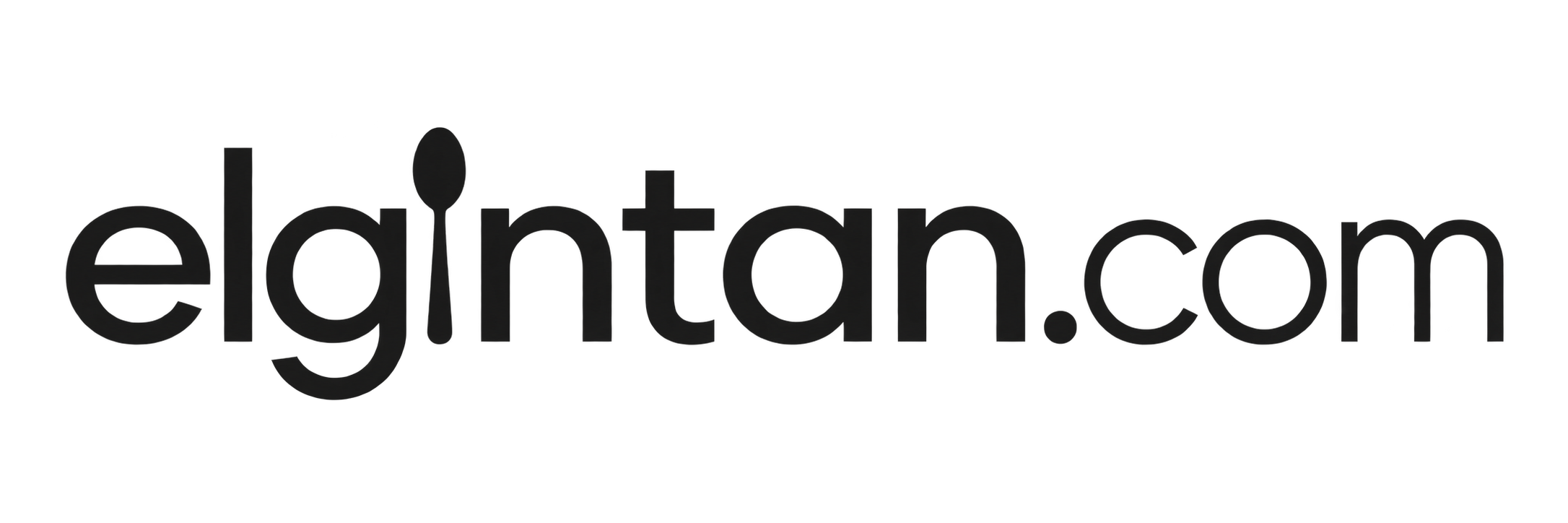 elgintan singapore food reviews